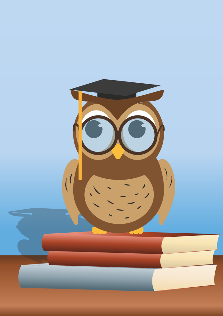 wise owl sitting on books