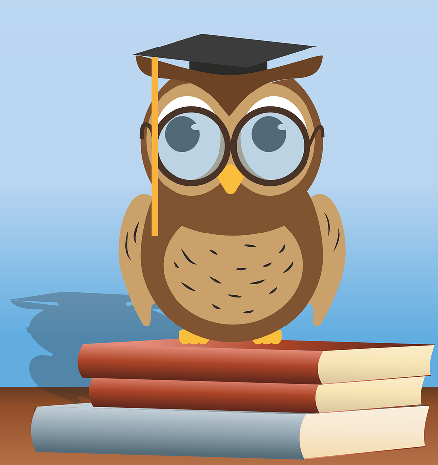 wise owl sitting on books