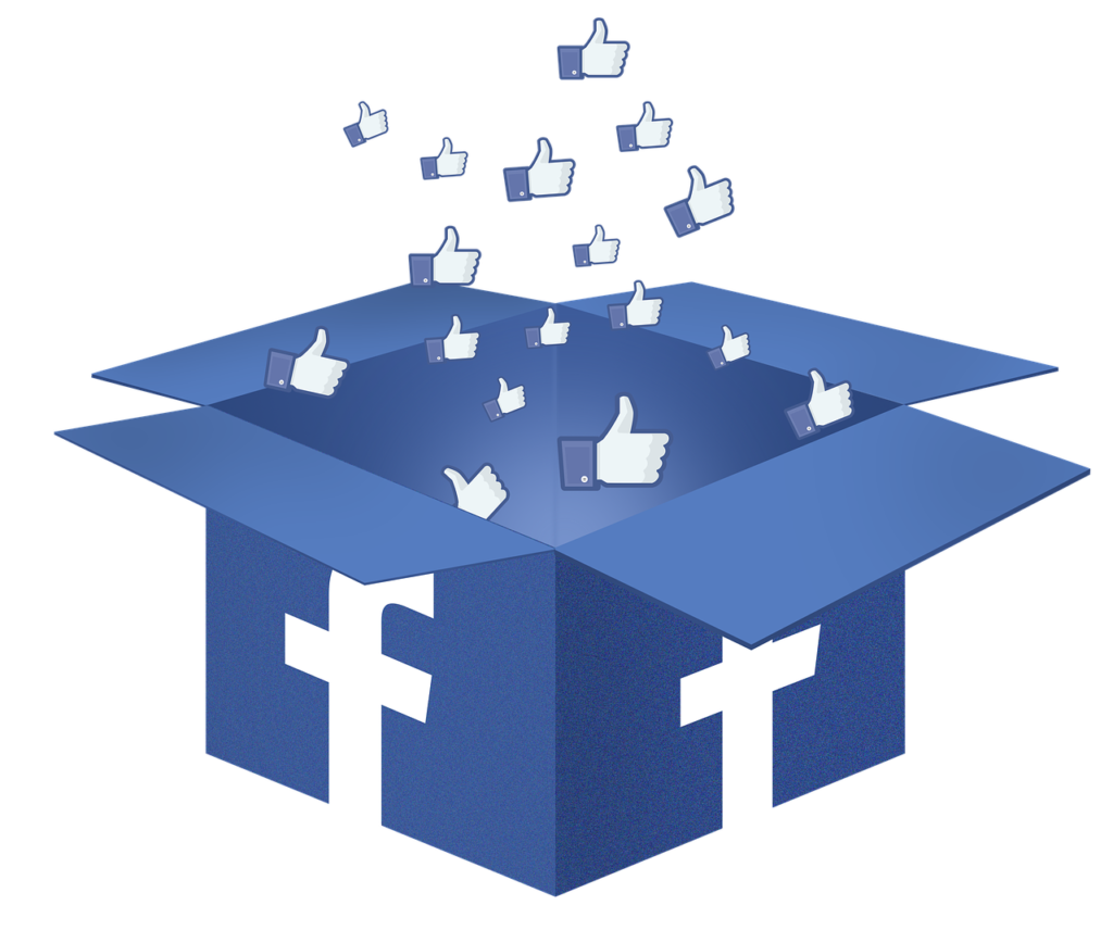 tiktok, facebook box, facebook-1334045.jpg