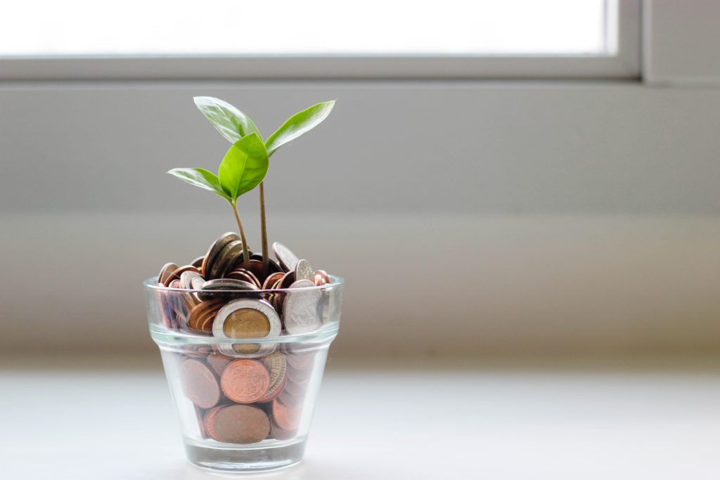 Planter full of coins